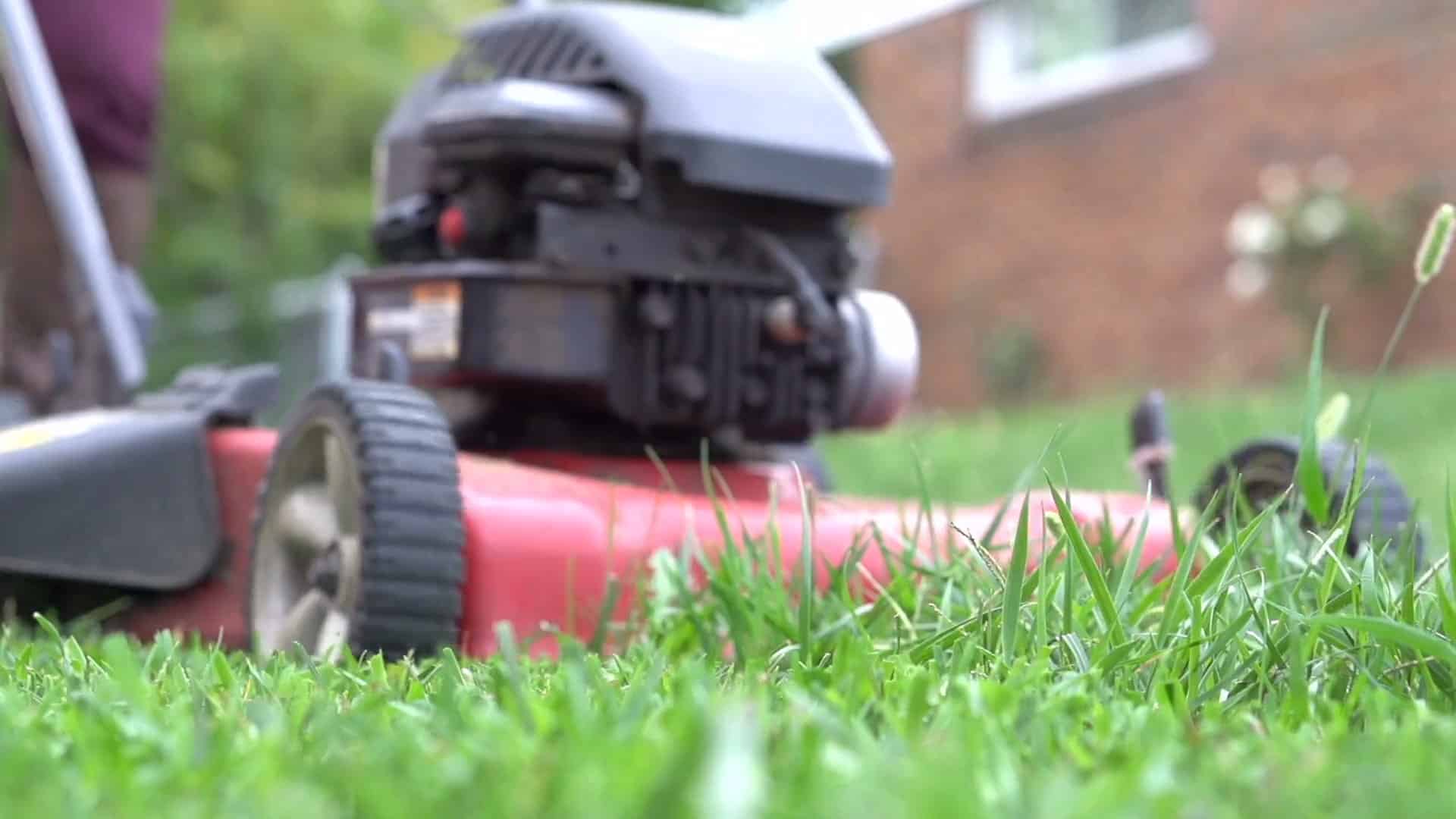 Home Turf Reviews Best Landscapers Near Me Glenmore WI